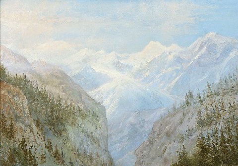 "View to snowy mountains"