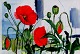 "Flowering poppies"